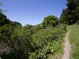 Tilden Regional Park 001